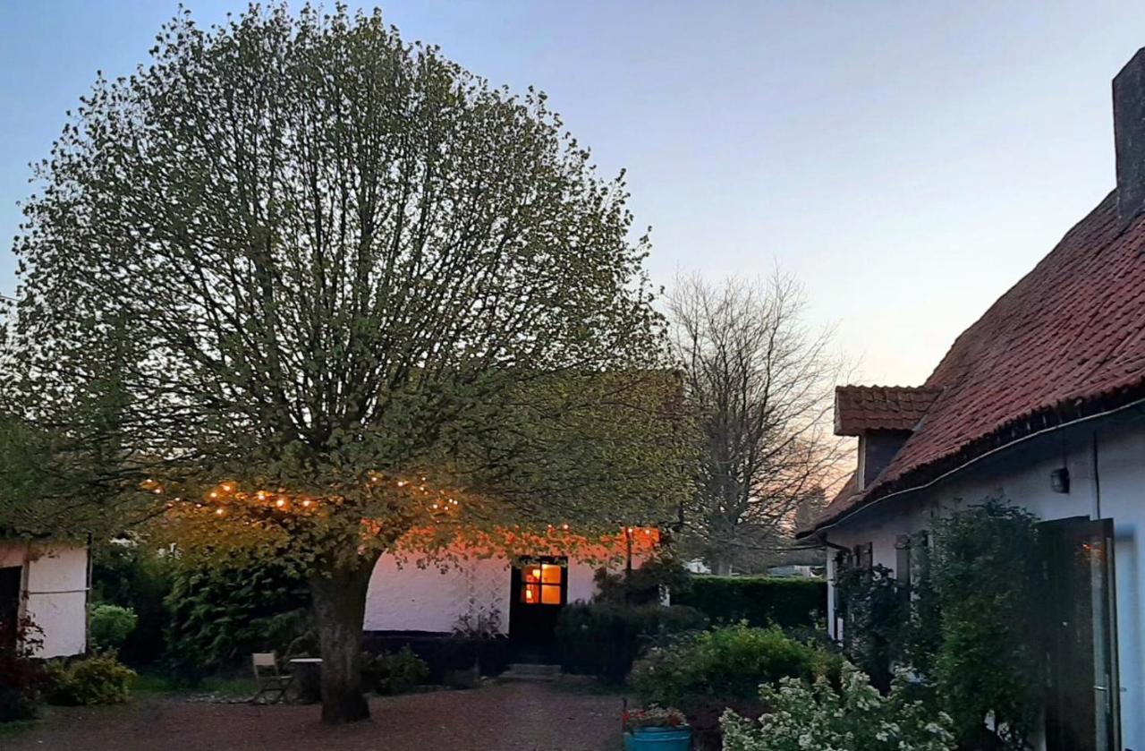 Le Collet Vert Wamin Exterior foto